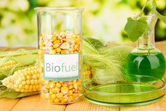Par biofuel availability