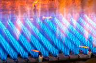 Par gas fired boilers