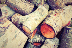 Par wood burning boiler costs
